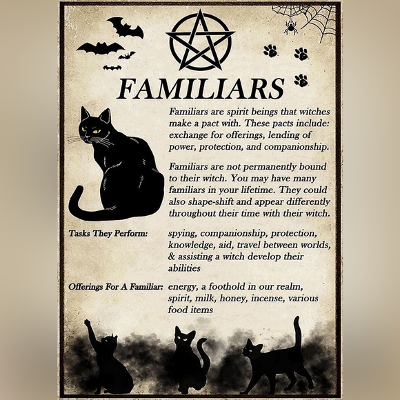 $2 WITCH CAT PIN/BROOCH. ENAMEL/METAL. NEW. $2 WITH ANY $10 ORDER OR MORE - Picture 16 of 16